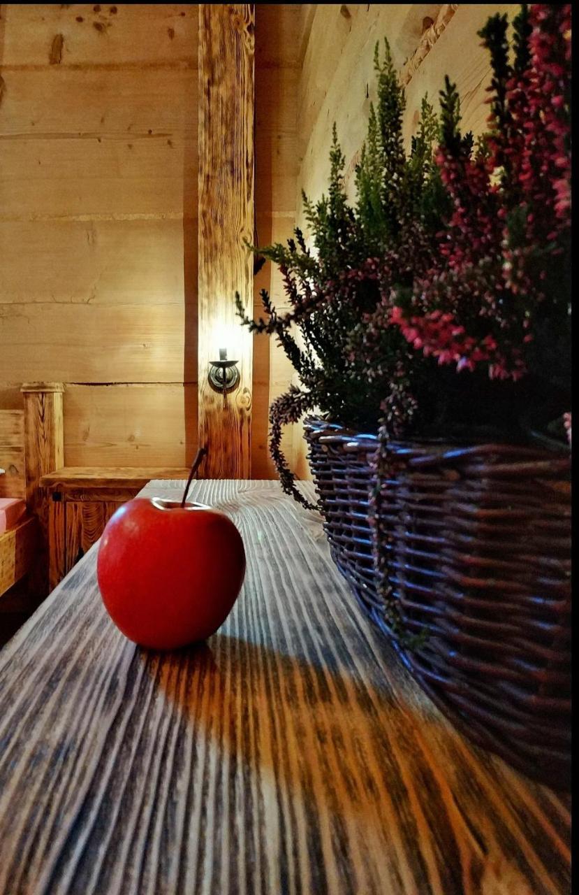 Bukowianska Ostoja - Sauna, Jacuzzi I Balia W Ofercie Bukowina Tatrzanska Exterior photo